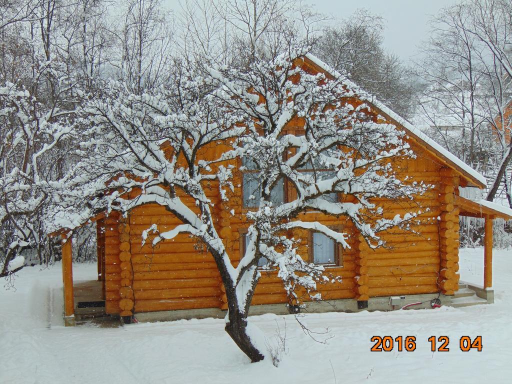 Casutele Din Moisei Hotel Exterior foto