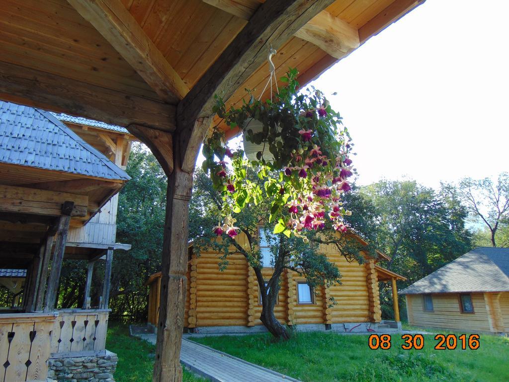 Casutele Din Moisei Hotel Exterior foto